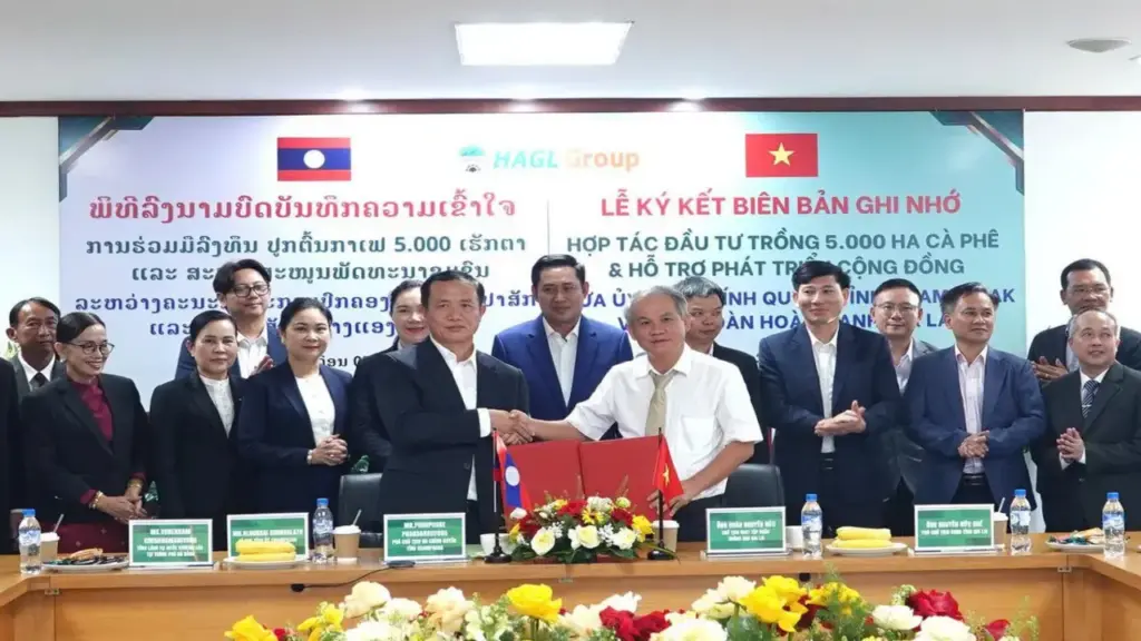 Hoàng Anh Gia Lai đầu tư 5.000ha cà phê tại Lào
