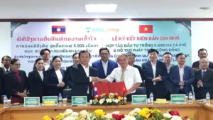 Hoàng Anh Gia Lai đầu tư 5.000ha cà phê tại Lào