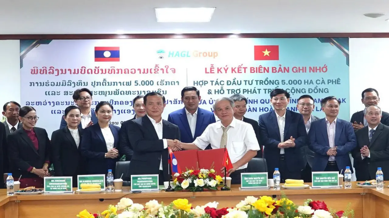Hoàng Anh Gia Lai đầu tư 5.000ha cà phê tại Lào