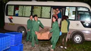 Hồi hương 28 con rùa quý hiếm từ Hàn Quốc