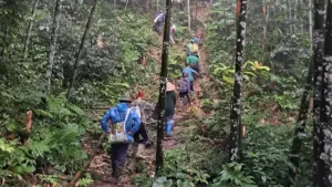 Hơn 200 người tìm kiếm người đàn ông mất tích ở Tuyên Quang