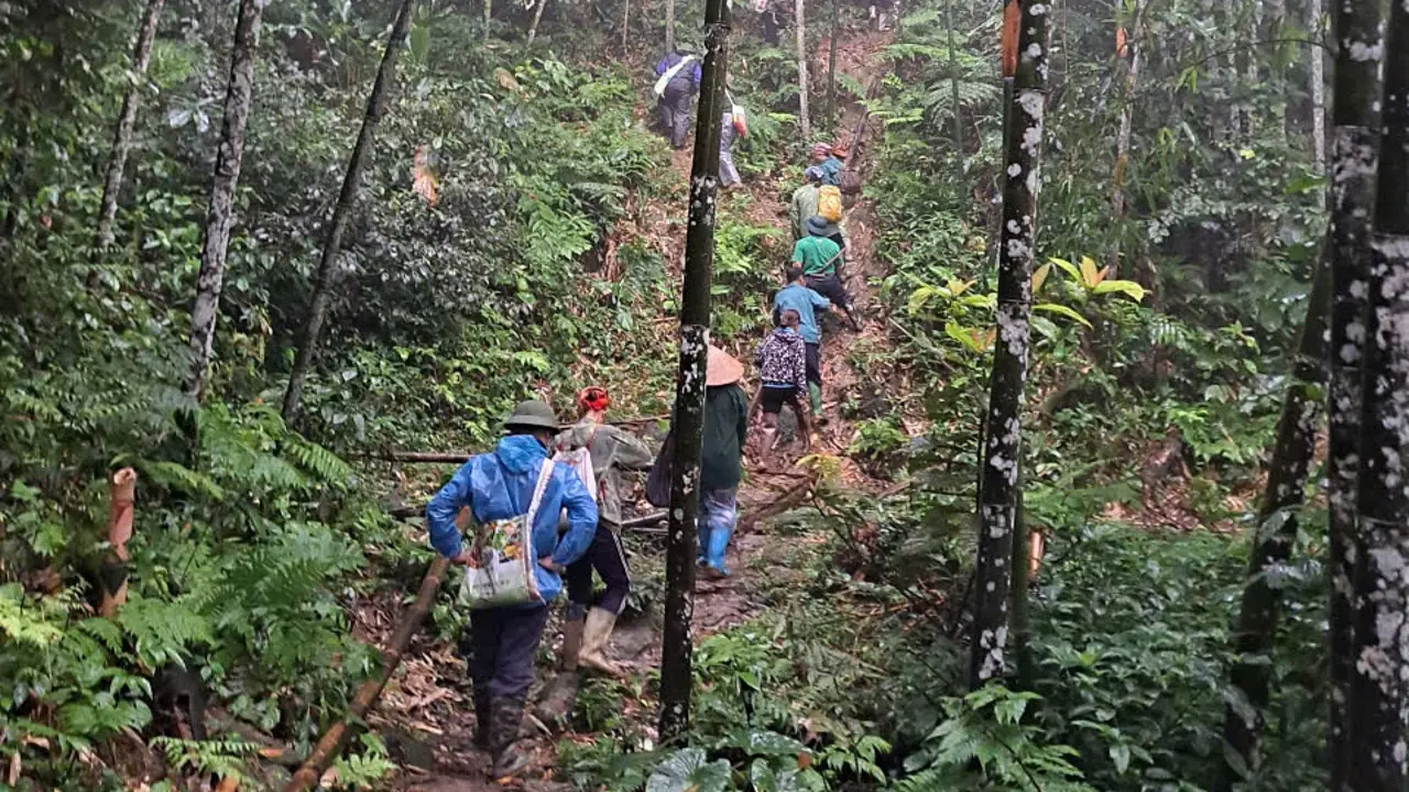 Hơn 200 người tìm kiếm người đàn ông mất tích ở Tuyên Quang