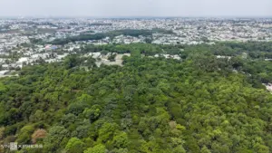 Khu rừng giữa lòng đô thị công nghiệp Đồng Nai
