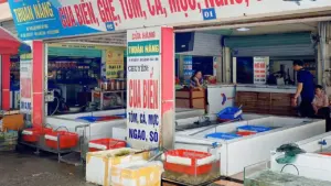 Kinh nghiệm mua hải sản ở Đồ Sơn