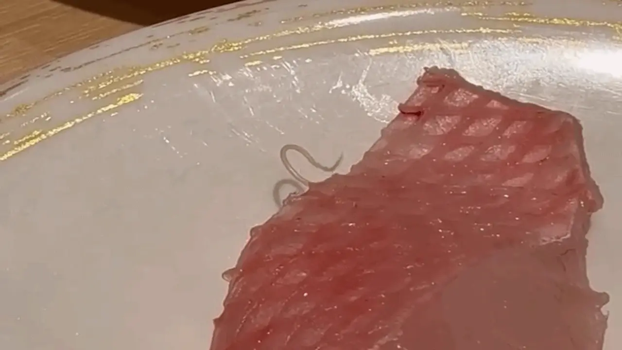 Ký sinh trùng ngoe nguẩy trên miếng cá sống, chuỗi sushi Nhật xin lỗi