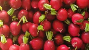 Loại củ được ví như “nhân sâm của người nghèo”, cứ ra chợ là thấy