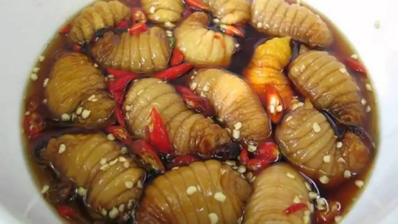 Món đặc sản nhìn tưởng “kinh dị”, giá 500.000 đồng/kg vẫn có người mua