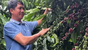 Một phần của ký ức
