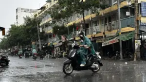 'Mưa vàng' giải nhiệt cho TP.HCM và Nam bộ