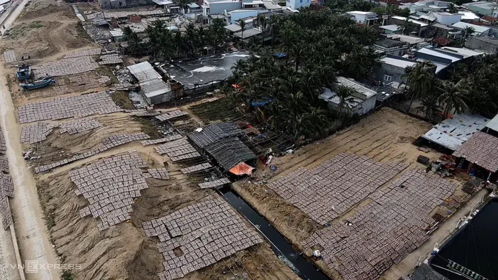 Mùi hôi chế biến mực bủa vây khu dân cư đầm Đề Gi