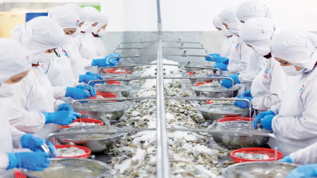 Mỹ giảm nhập thủy sản Việt Nam, Trung Quốc tăng mua 50% tôm hùm, cá tra, cua