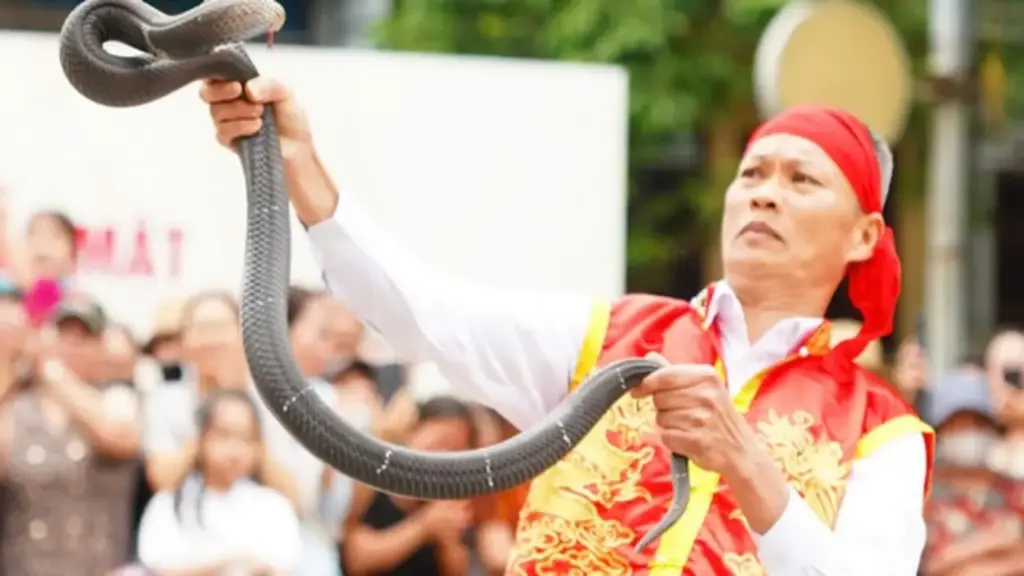 Người đàn ông 'múa rắn' giữa Hà Nội: 'Rắn hung dữ nhất gặp tôi cũng thành thú cưng’