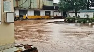Nhà máy mất 2.000 lít mật vì sét đánh thủng bể chứa