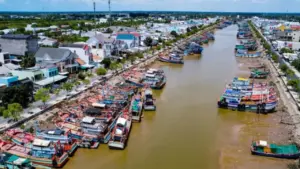 Nhịp sống ở cảng cá Trần Đề: Người bốc xếp, vá lưới tất bật theo mùa cá