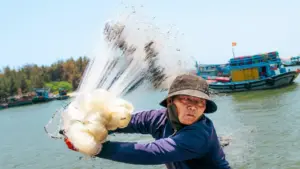 Sắc màu cảng cá ở TP HCM qua ống kính học trò