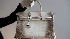 Sẽ đấu giá 2 túi Hermes da cá sấu bạch tạng của bà Trương Mỹ Lan vào ngày 21-5