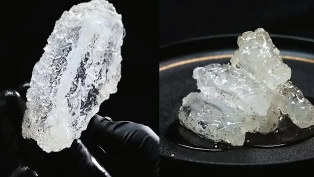 "Sốc" thị giác: Gà rán trong suốt lộ diện, nhìn như đồ trang trí nhưng lại ăn được