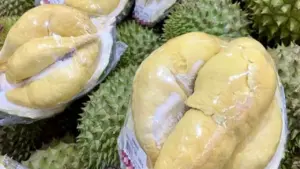 Thông tin mới nhất về gỡ tắc xuất khẩu sầu riêng Trung Quốc