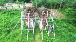 Tìm cách bảo tồn di tích nơi từng là “Thánh địa Phật giáo” ở Đông Nam Á