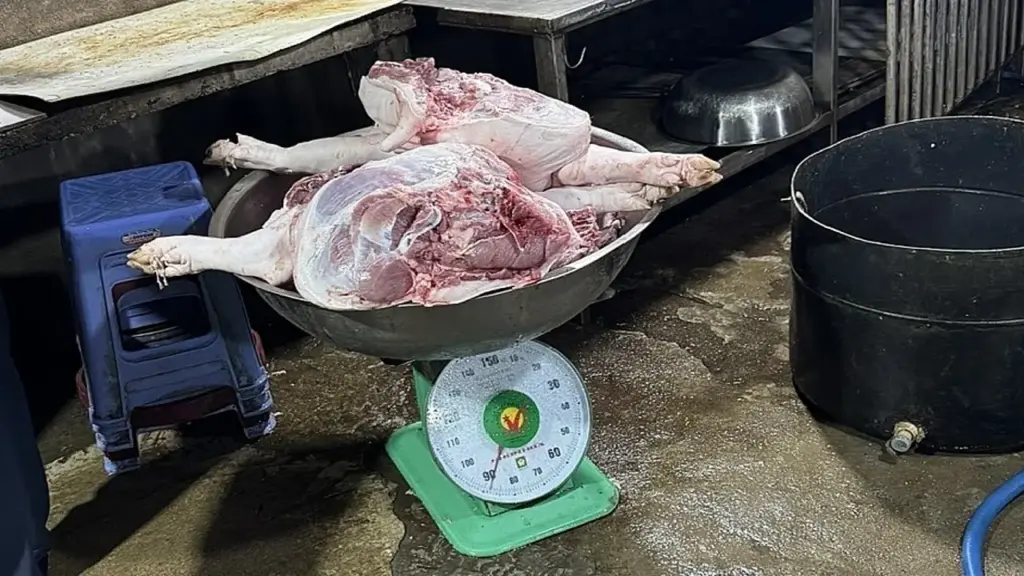 TP HCM chặn 8 tấn thịt heo, gia cầm không kiểm dịch
