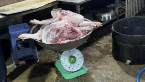 TP HCM chặn 8 tấn thịt heo, gia cầm không kiểm dịch