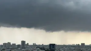 TP.HCM đã có 'mưa vàng' giải nhiệt