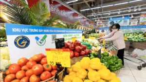 TP.HCM đưa 'Tick xanh trách nhiệm' vào bếp ăn trường học, siết chặt an toàn thực phẩm