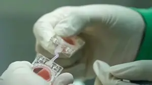 Trung Quốc đưa 'phôi nhân tạo' lên vũ trụ, nghiên cứu việc sinh con ngoài Trái đất