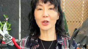 Trương Mạn Ngọc rời showbiz về làm nông, hút triệu fan trên mạng xã hội