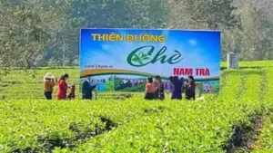 Từ 'chảo lửa, túi mưa' đến nông nghiệp kết hợp du lịch trải nghiệm tại Hà Tĩnh