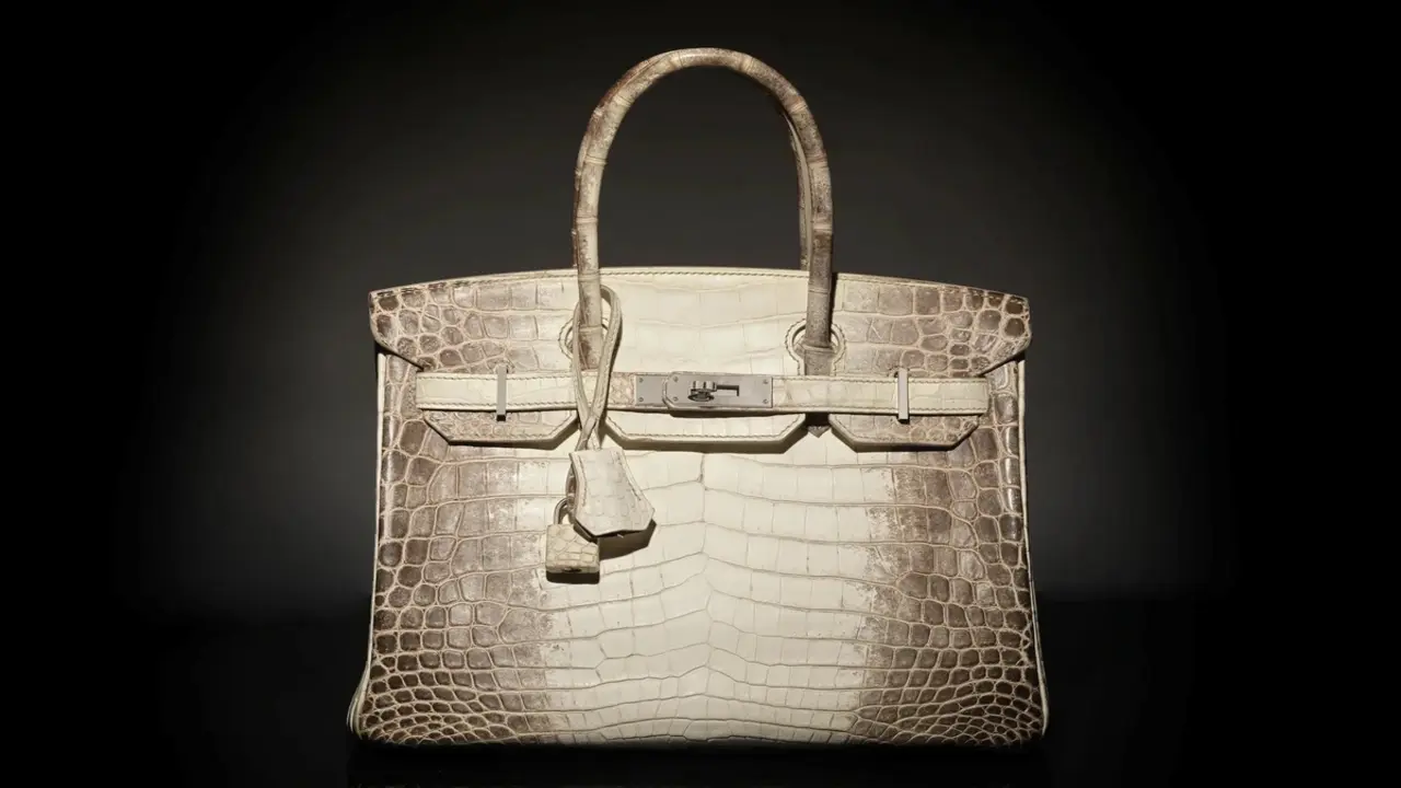 Túi Hermès da cá sấu bạch tạng: Biểu tượng xa xỉ được giới siêu giàu săn lùng