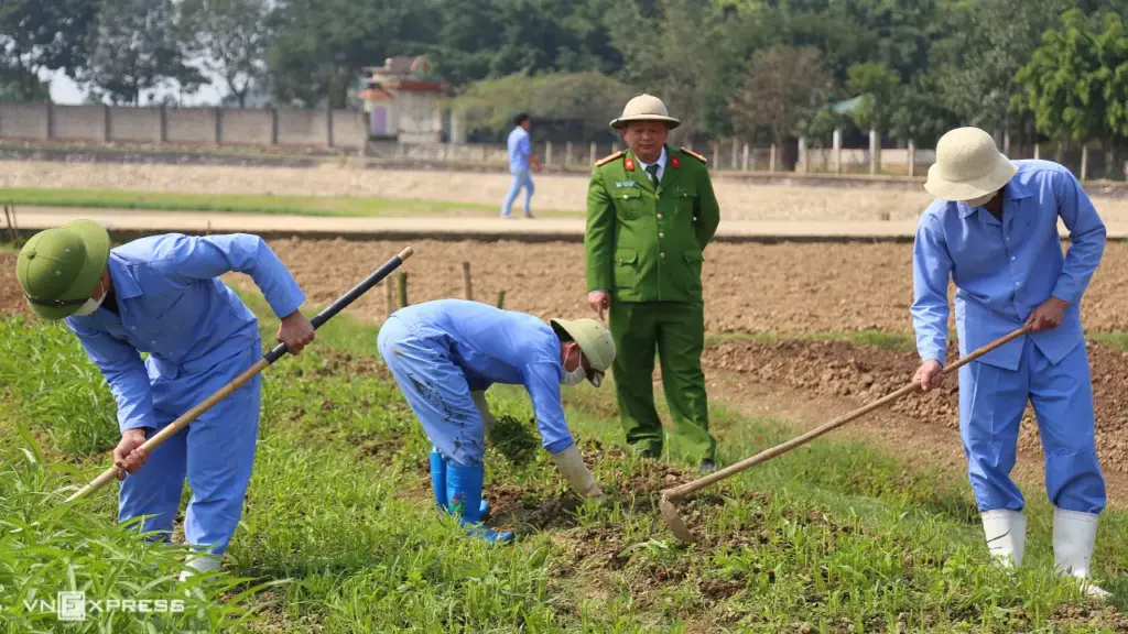 Vì sao cùng sử dụng ma túy có người đi tù, người không?