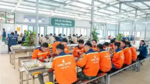 Vingroup tuyển 20.000 nhân sự tại Hà Nội, cam kết thu nhập vượt trội