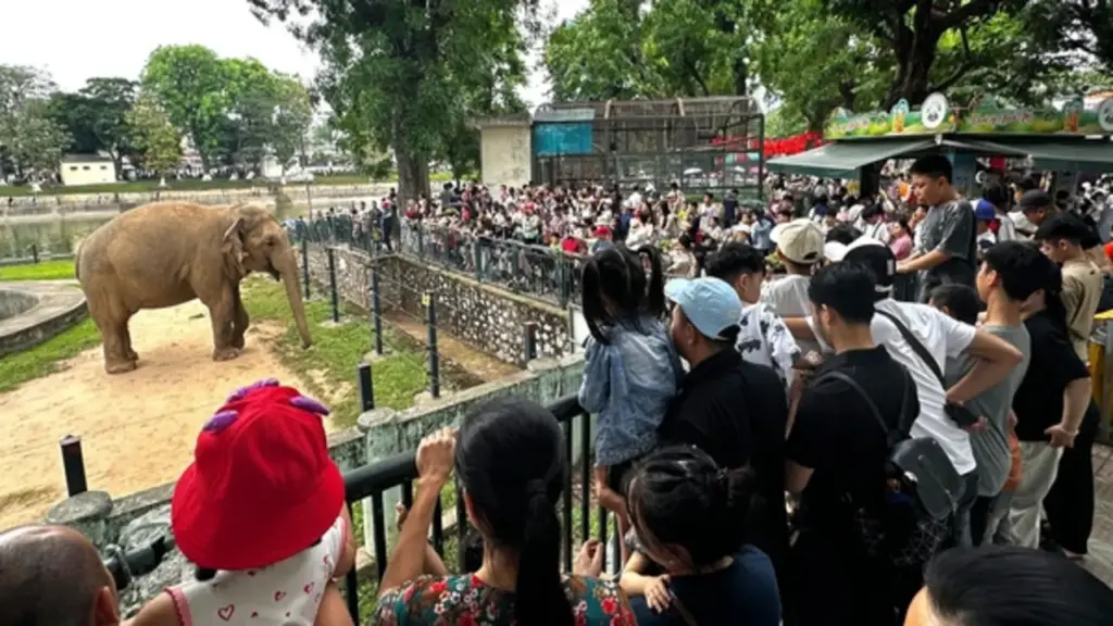 Vườn thú Hà Nội đông nghịt người, loa phát thanh liên tục cảnh báo móc túi