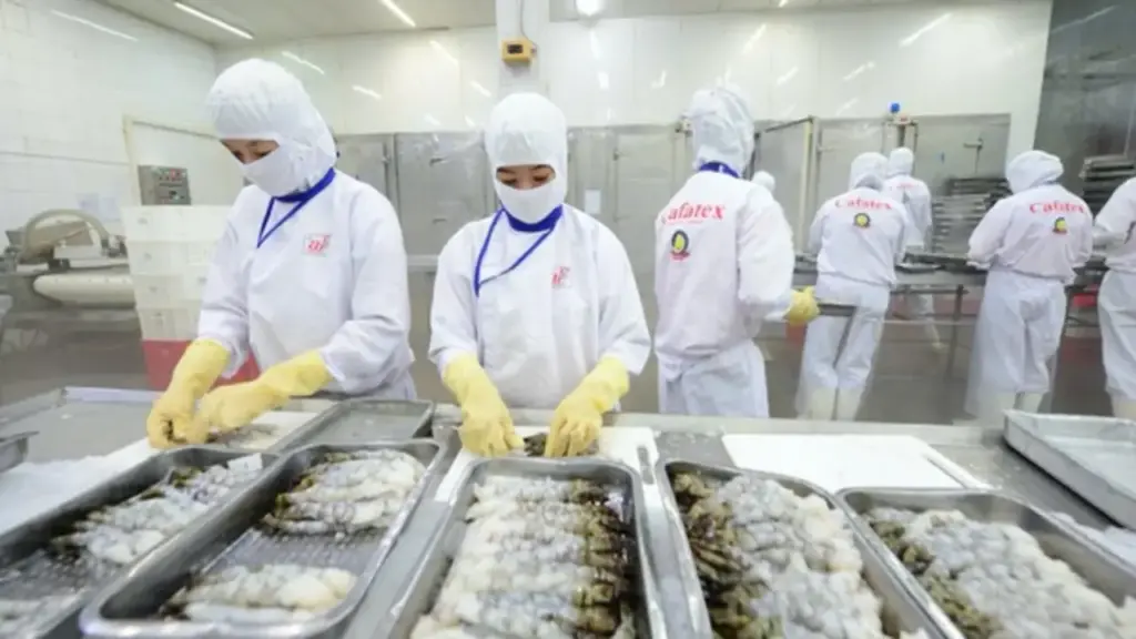 Xuất khẩu thủy sản có thể đạt kim ngạch 12 tỉ USD trong năm nay